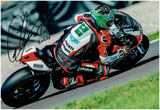 Glenn Irwin - 2024 British Superbike Championship - 18 x 12 Autographed Picture