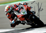 Glenn Irwin - 2024 British Superbike Championship - 16 x 12 Autographed Picture