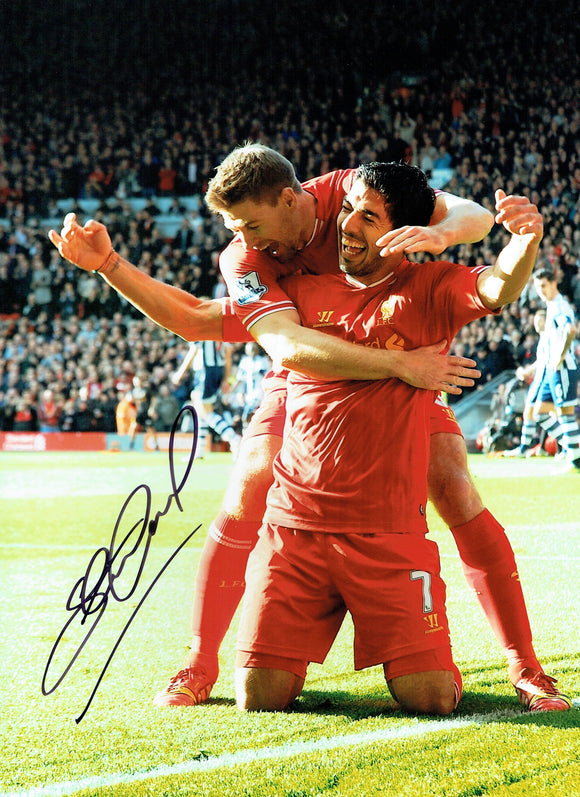 Steven Gerrard - Liverpool - 16 x 12 Autographed Picture