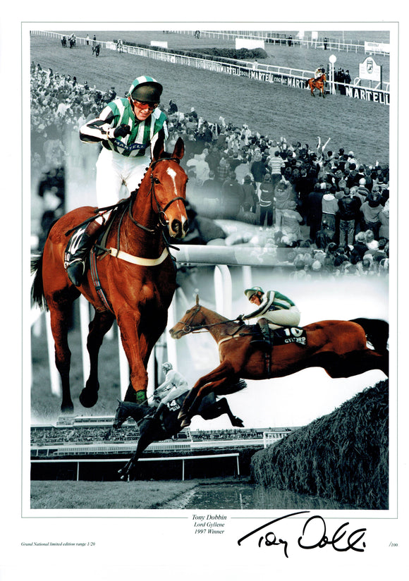 Tony Dobbin - Grand National Winner - 16 x 12 Autographed Picture