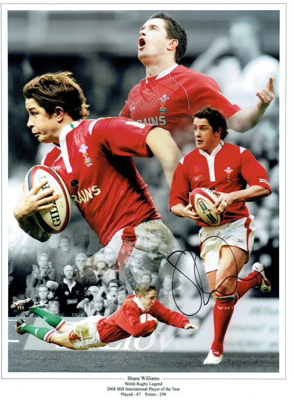Shane Willaims - Wales - 16 x 12 Autographed Print